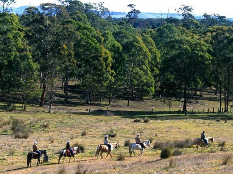 Katoomba Mountain Lodge Eksteriør bilde